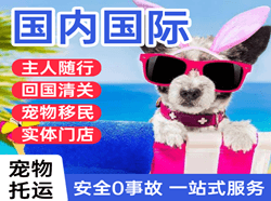 大连机场快递国际宠物托运 【国